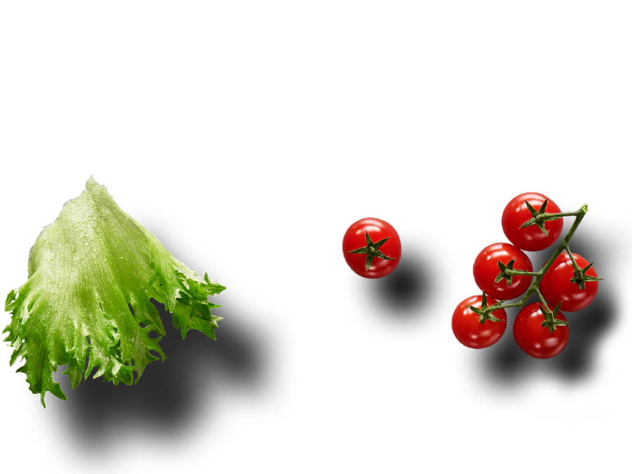  Sallader 